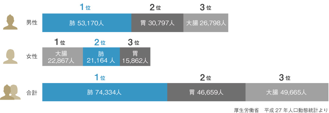 肺癌表（H27）