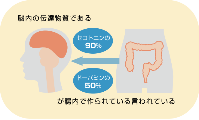 腸内でセロトニン、ドーパミン