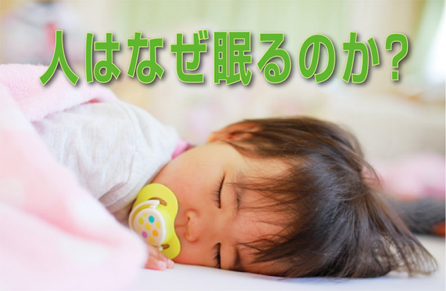 人はなぜ眠るのか？