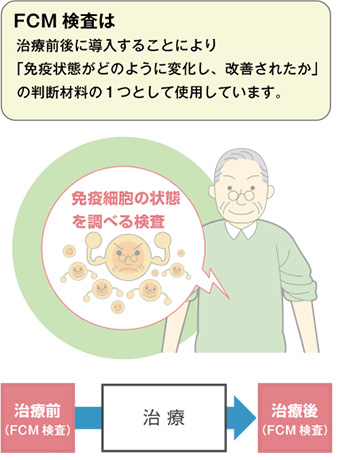 免疫細胞検査 Fcm検査 料金の変更について お知らせ Lsi札幌クリニック