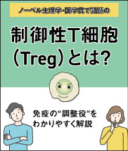 Treg